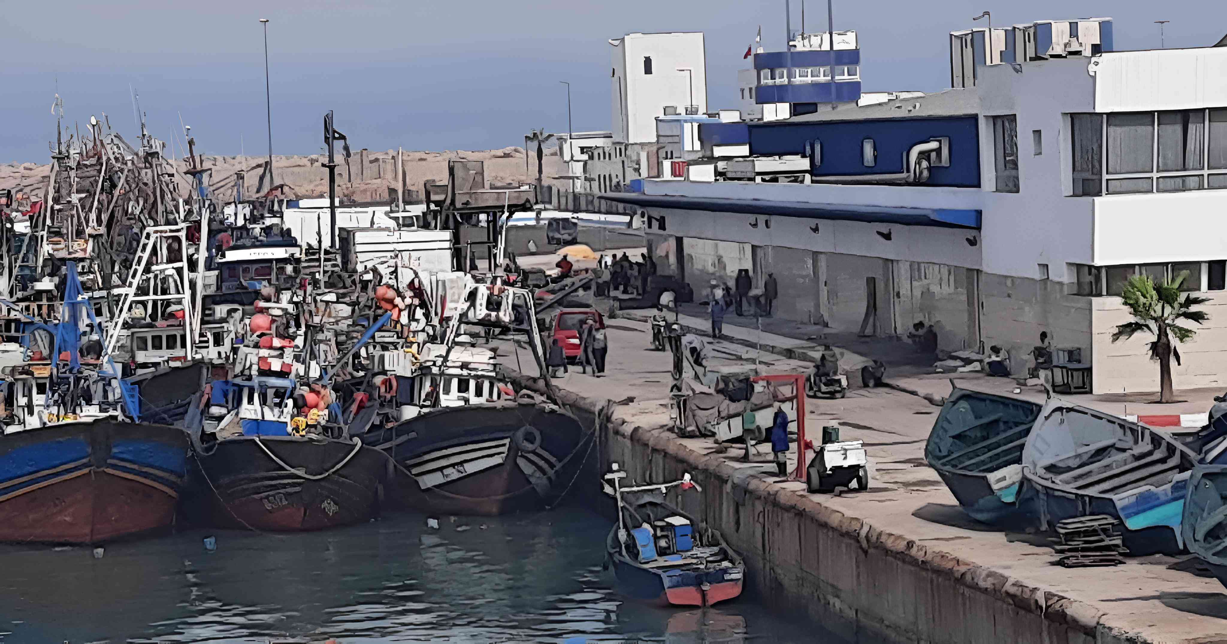 انخفاض في ميناء طانطان لمفرغات الصيد الساحلي والتقليدي بـ 40 في المائة خلال الربع الأول من سنة 2024