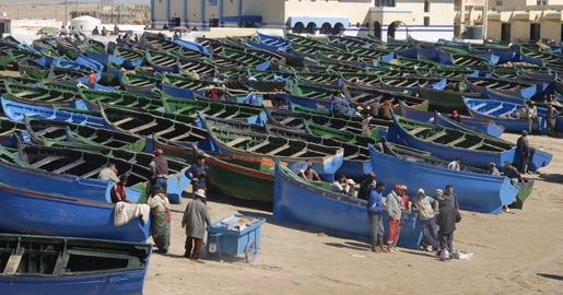 خطير…تنسيقية القوارب المعيشية بالداخلة تضع وزراة الصيد البحري في قفص الاتهام